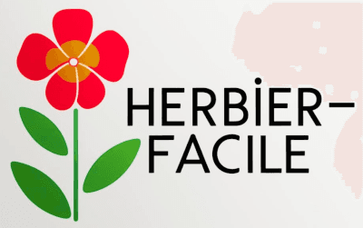 Herbier icone